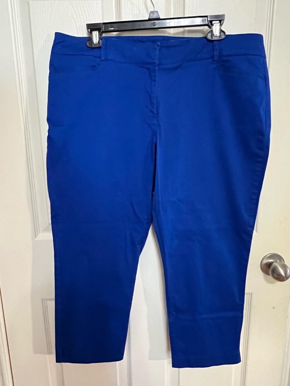 New York & Company Electric Blue Cropped Dress Pants